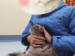 -萌兽医馆·犬猫专科·眼科中心·宠物医院(朝阳门分院)