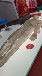 -北京科学中心儿童乐园