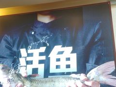 -老板恋上鱼(恒隆广场店)