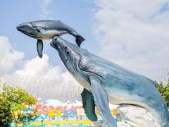 -海合安武汉极地海洋公园