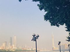 -中山大学学者灵芝(园南路店)