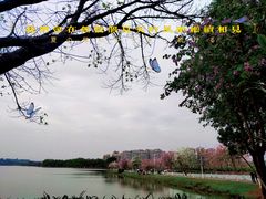 -松山湖风景区松湖烟雨