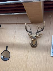-纯剪男士理发馆·烫染专业店