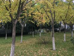 -西南政法大学(渝北校区)