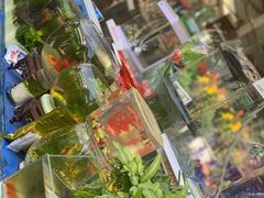 -曲阳花鸟市场(曲阳路店)