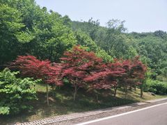 -南京市江宁方山