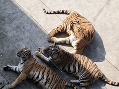-南京金牛湖风景区
