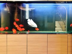 -山水温泉