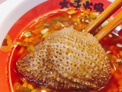 -大味生态火锅(蓝谷地店)