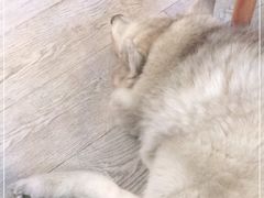 -小时光咖啡馆(北锣鼓巷店)