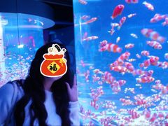 -海合安成都极地海洋公园