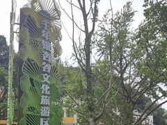-千年银杏谷文化旅游区
