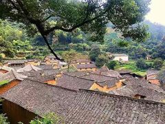 -杨家堂村