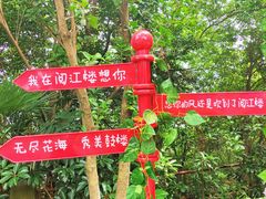 -阅江楼风景区