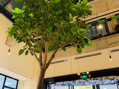 -大树餐厅(红旗街万达店)