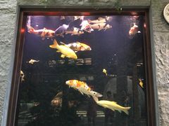 -弘安丽水温泉酒店