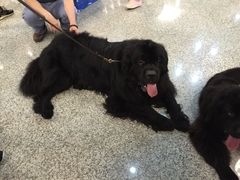 世博展览馆-东浩兰生上海世博展览馆