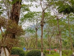 -火炉山森林公园