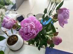 -烤匠麻辣烤鱼(环球中心店)