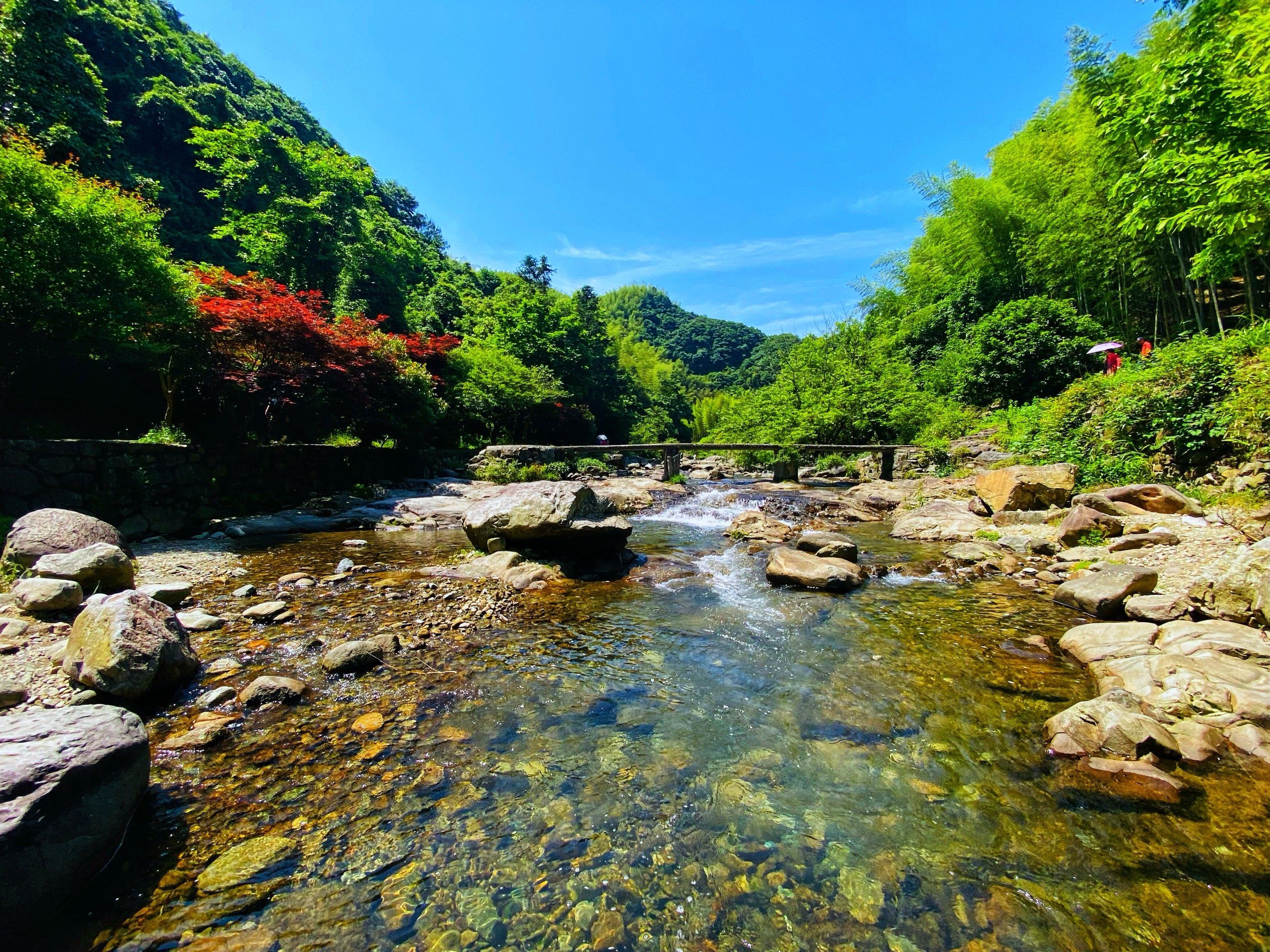 浙东小九寨,流水潺潺,绿竹荫荫