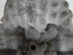 -莲池书院博物馆