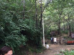 -大岭沟猕猴桃谷风景区
