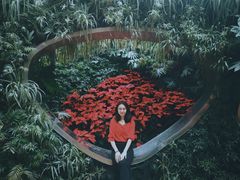 -花之城