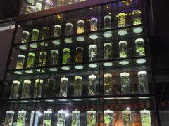 -广东中医药博物馆