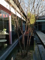 点击看大图 -爱儿美儿童摄影(朝阳公园店)