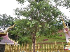 -西双版纳勐泐文化旅游区