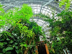-郑州植物园