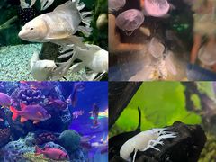 -正佳极地海洋世界