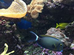 iphone_upload_pic-御唐府海珊瑚主题餐厅