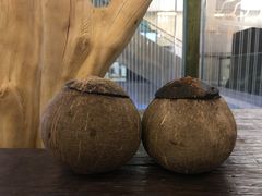 -椰爺爺·椰子冻砵仔糕