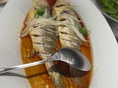 深海野游中黄鱼-双合园·海鲜水饺青岛菜(万佳广场店)