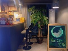 -梵猫·新养生(湛江鼎盛店)