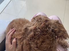 -巧手推拿中心(盲人推拿)