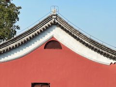 -贡湖湾湿地公园