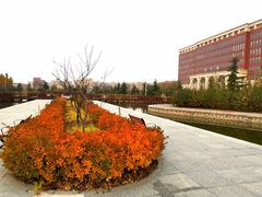 -北京政法职业学院(大兴校区)