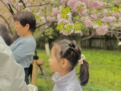 -西安青龙寺遗址景区