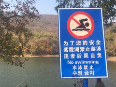 -紫霞湖公园