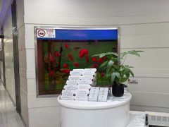 -雅悦齿科(顾村公园店)