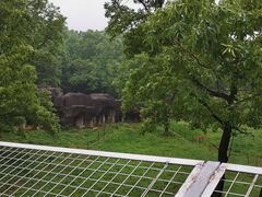 -合肥野生动物园