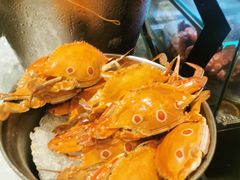 -圣丰索菲特·2 On 988 Café 自助餐厅