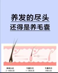 -Bollins波林丝•专研护发中心