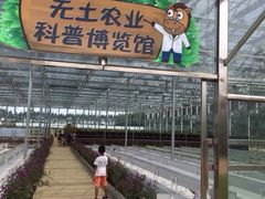 -迪茵湖田家舍生态农场