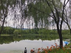 -北坞公园