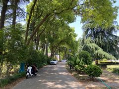 -春兰国宾馆(凤城河风景区老街店)