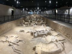 -洛阳周王城天子驾六博物馆