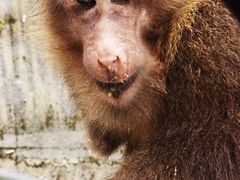 -西岭雪山大飞水景区